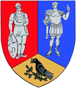 Stema Județului Hunedoara